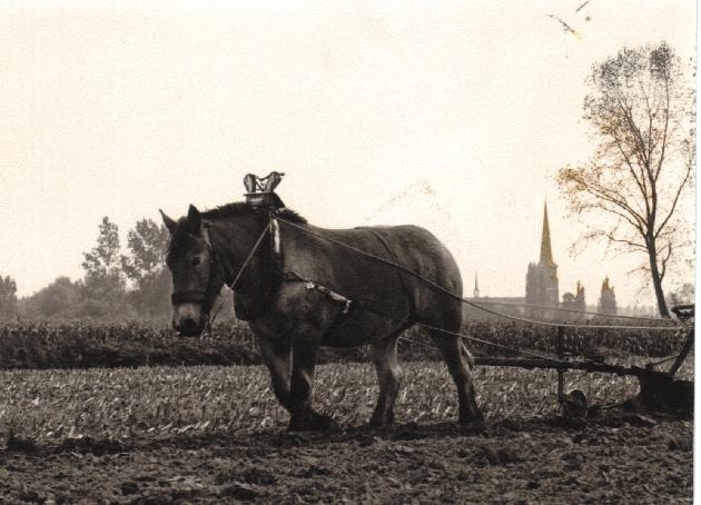 De oorsprong van Liempde